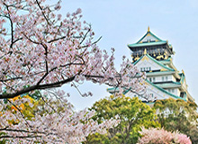 元游棋牌-纳什：20岁的东契奇史上最优秀 未来有望超诺天王
